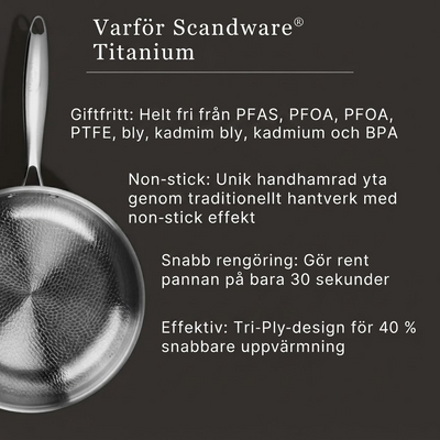 Titanium Stekpanna
